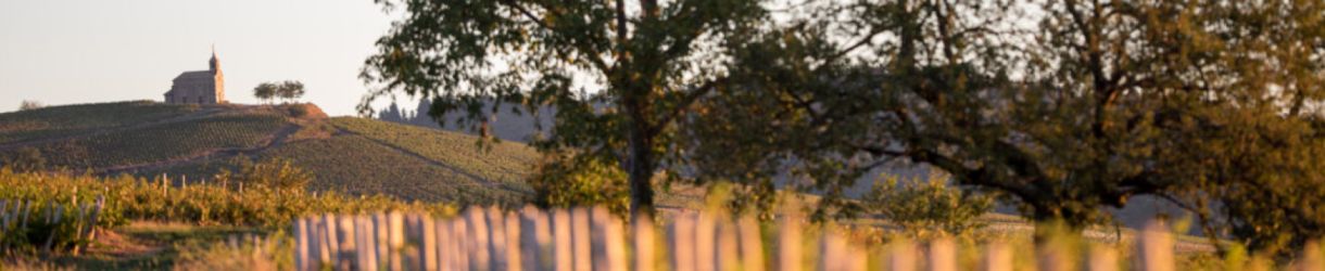 Domaine Lafarge-Vial