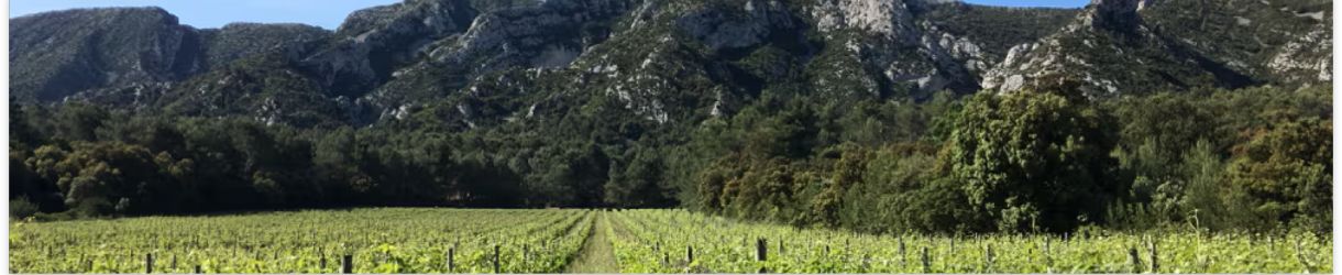 Domaine Hauvette