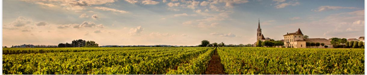 Château La Fleur-Pétrus 