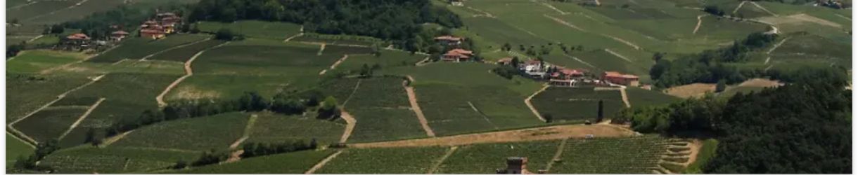 Cascina Roccalini