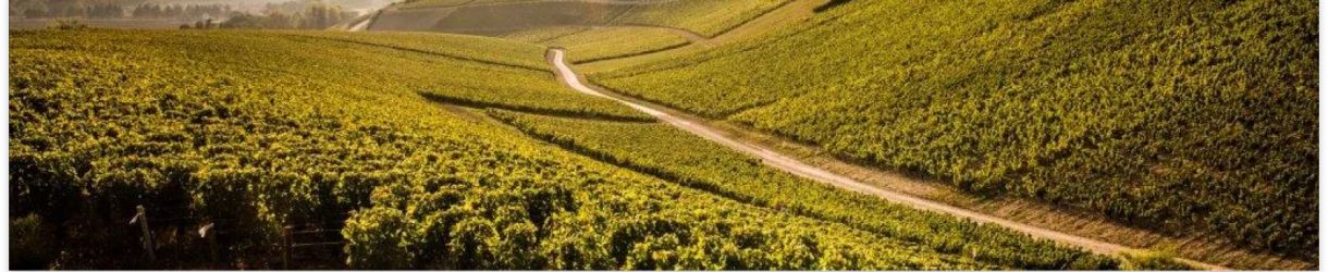 Domaine Gérard Tremblay