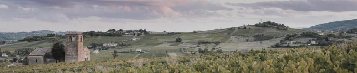 Alain Coudert - Clos de La Roilette