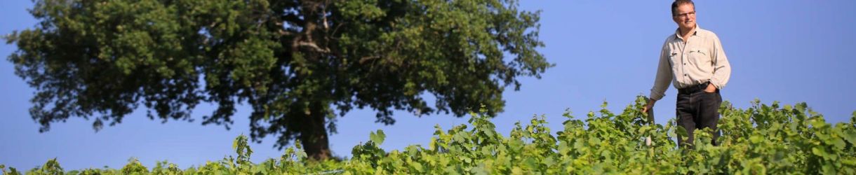 Domaine Dominique Piron