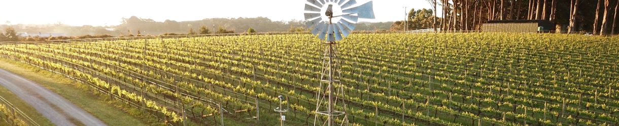 Ten Minutes by Tractor