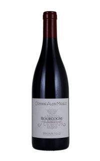 Domaine Alain Michelot Bourgogne Pinot Noir 2019