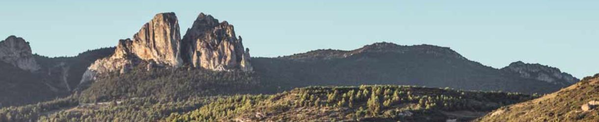 Bodega Alegre Valgañon