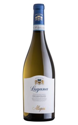 Allegrini Lugana 2024