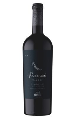 Andeluna Pasionado Malbec 2019