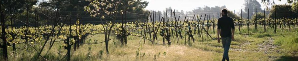 Anthill Farms Winery