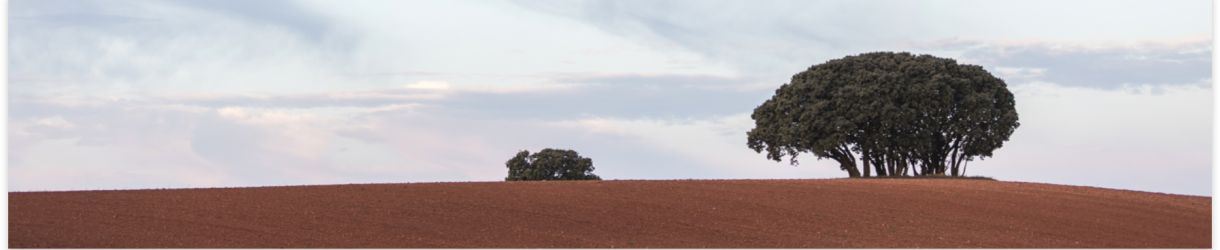 Bodegas Antídoto