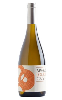 Aphros Loureiro 2024