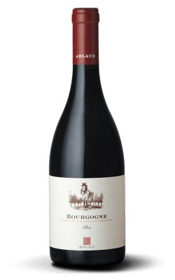 Domaine Arlaud Bourgogne OKA 2022