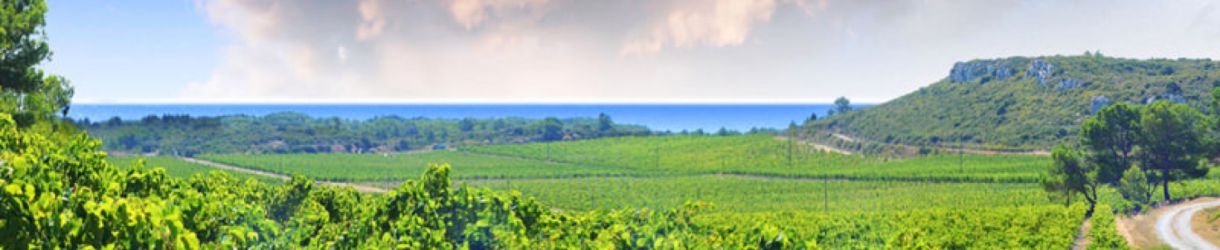 Baron de Badassière