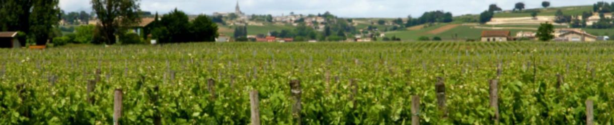 Château Barrail du Blanc