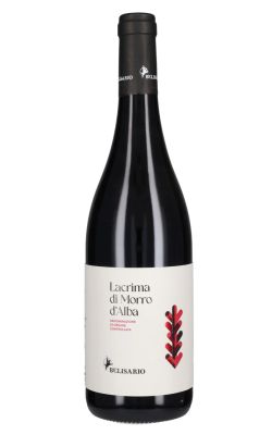 Cantine Belisario Lacrima di Morro d'Alba 2024