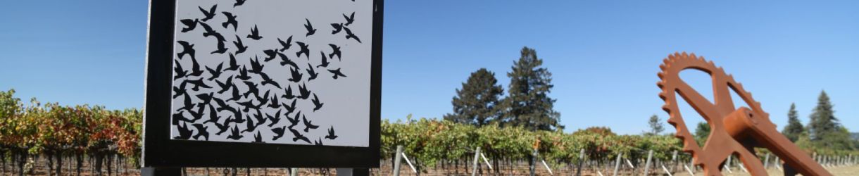 Blackbird Vineyards