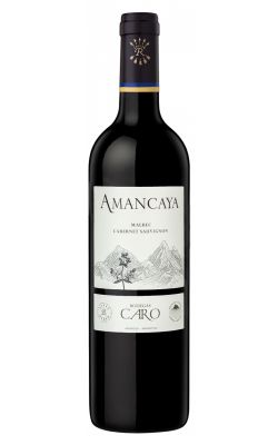 Barons de Rothschild Lafite/Catena- Bodegas CARO Amancaya 2021