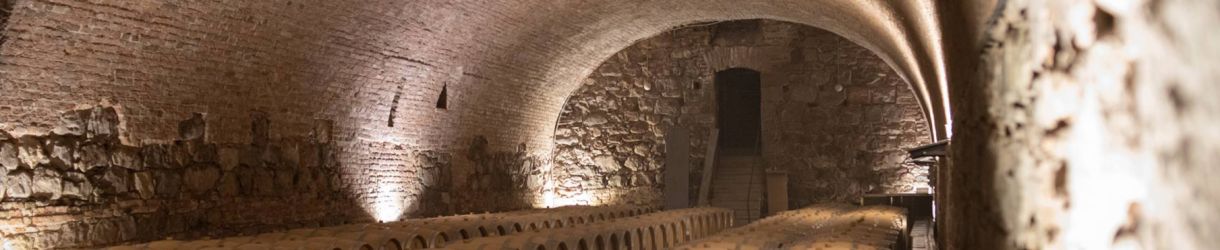 Barons de Rothschild Lafite/Catena- Bodegas CARO