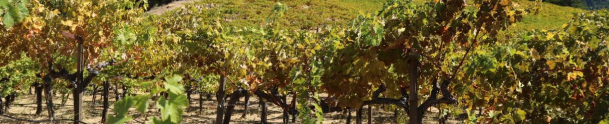 Cain Vineyard & Winery