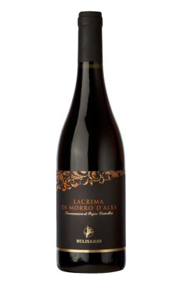 Cantine Belisario Lacrima di Morro d'Alba 2023