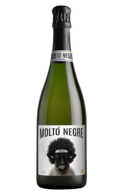 Casa Rojo Moltó Negre Brut Cava NV