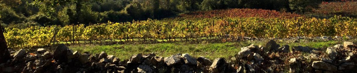 Castellare di Castellina