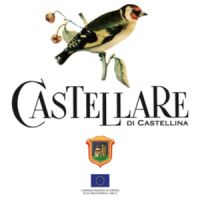 Castellare di Castellina