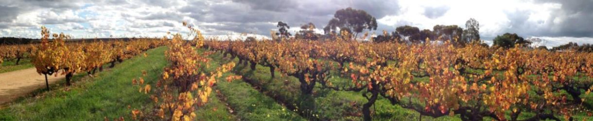 Chaffey Bros. Wine Co.