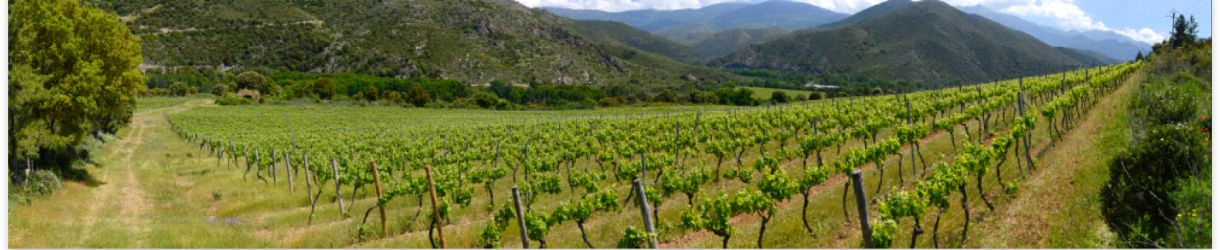 Clos Venturi