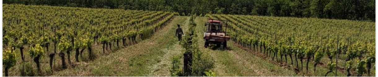 Clos Troteligotte