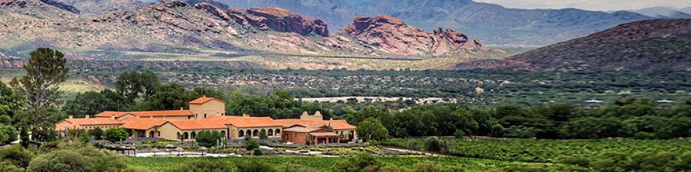 Bodega Colomé Auténtico Salta Malbec 2022 - Winedirect