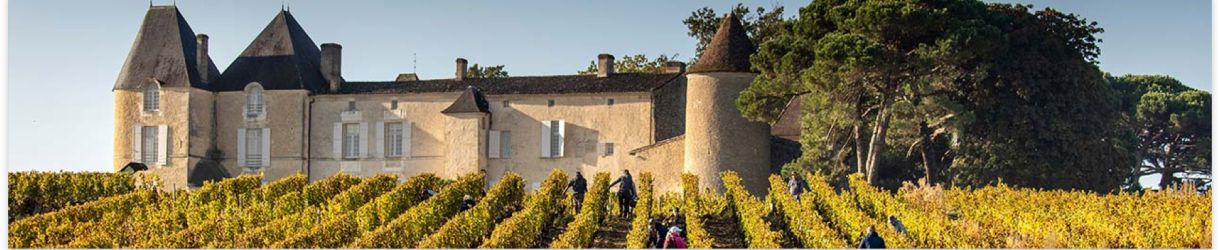 Chateau d'Yquem