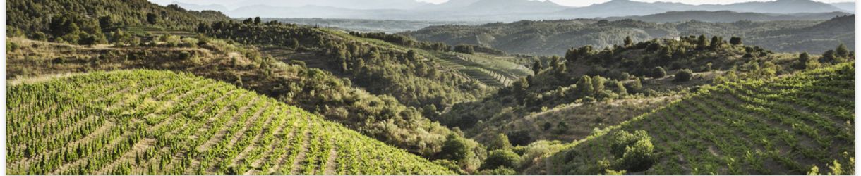Costers del Priorat