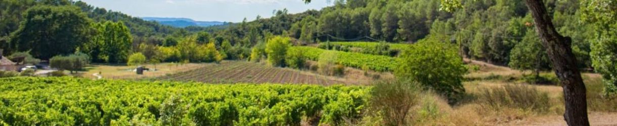 Domaine des Mapliers