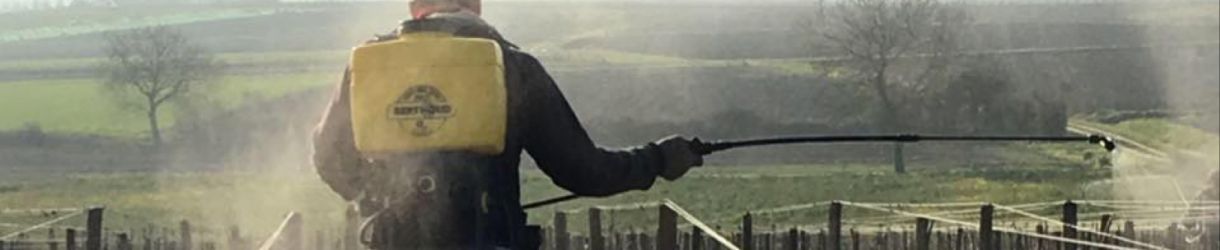 Domaine des Roches Neuves