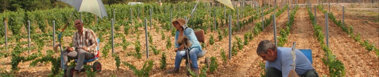 Domaine Michel Mallard