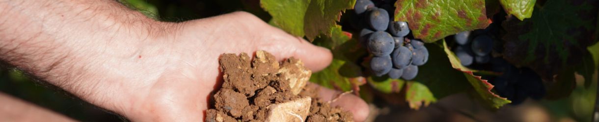 Domaine Rebourgeon-Mure