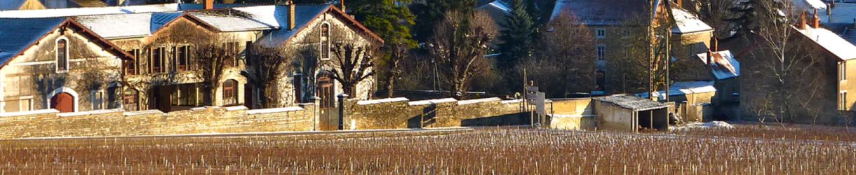 Domaine Alain Michelot