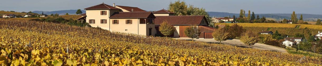 Domaine de la Croix Senaillet