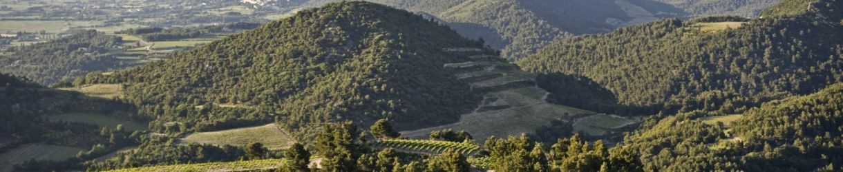 Domaine des Bosquets