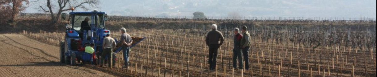 Domaine Saint Damien