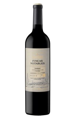 El Esteco Fincas Notables Tannat 2020