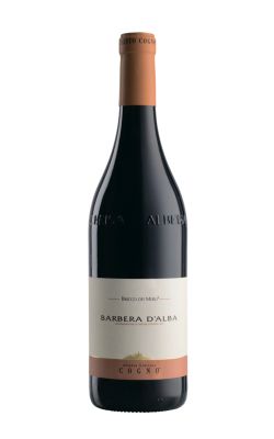 Elvio Cogno Barbera d`Alba Bricco dei Merli 2021