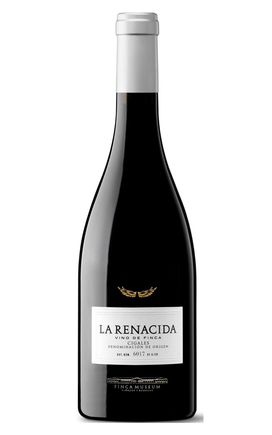 Buy Finca Museum La Renacida 2021 Online Winedirect