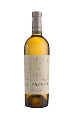 Fontanafredda Moncucco 2023 (Half Bottle)