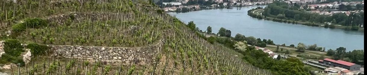 Domaine François Villard