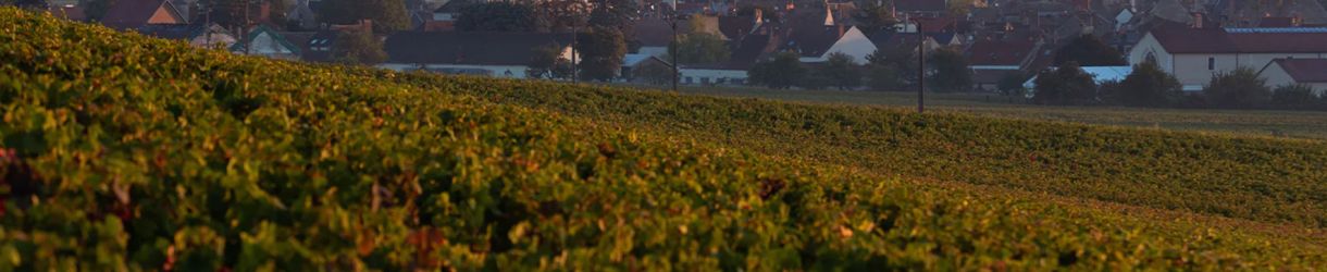 Domaine Henri Gouges