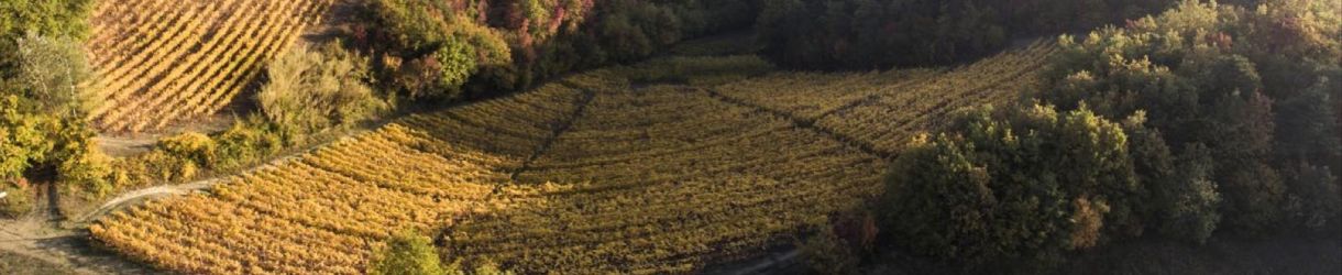 Isolabella della Croce