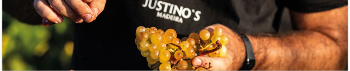 Justino's