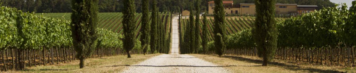 Antinori La Braccesca